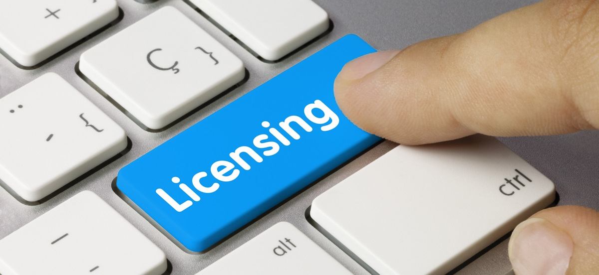 Obtaining Special Permits and Licenses in Hungary