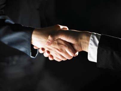 Company Due Diligence in Hungary