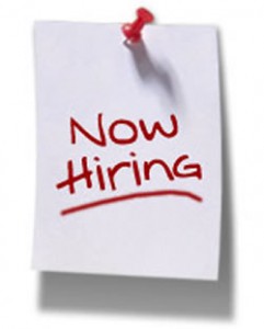 Obtain a Work Permit in Hungary